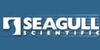 seagull海鸥